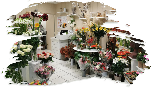 Boutique de fleurs colorées avec comptoir et décorations.