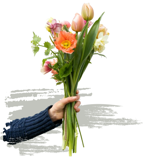 Main tenant un bouquet de tulipes et de renoncules.
