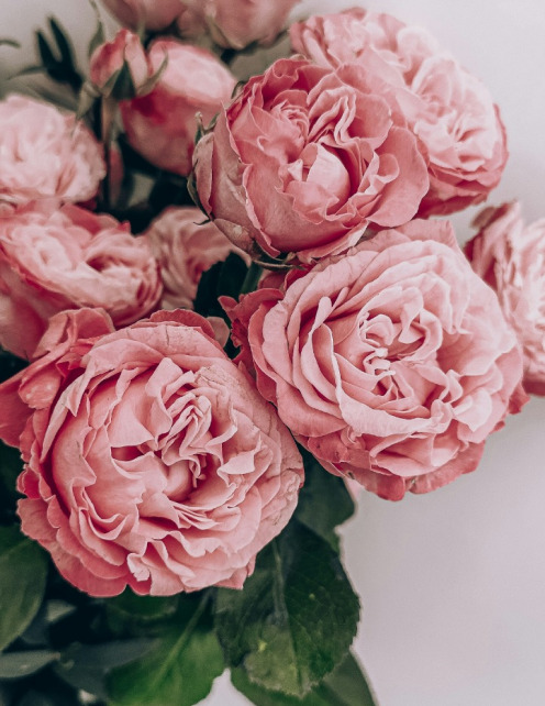 Un bouquet de belles roses roses.